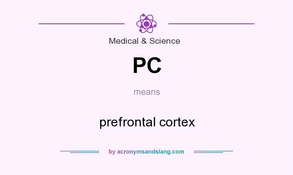 What does PC mean? It stands for prefrontal cortex