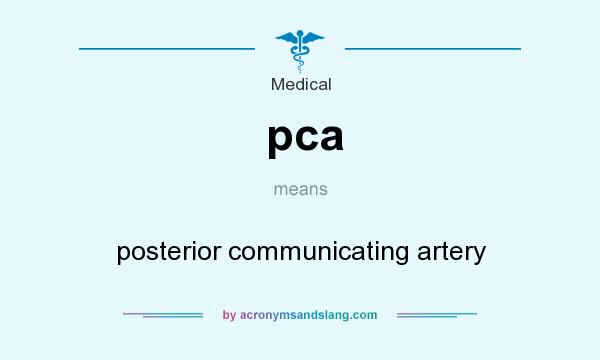 What does pca mean? It stands for posterior communicating artery
