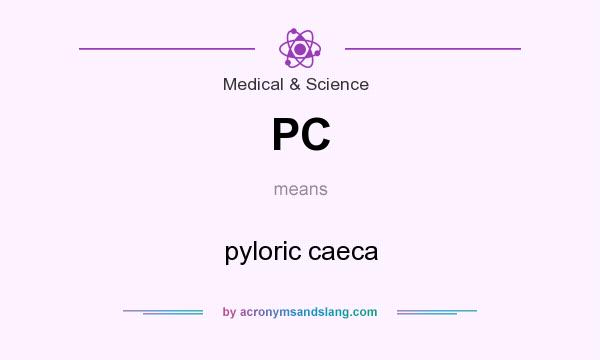 What does PC mean? It stands for pyloric caeca