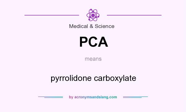 What does PCA mean? It stands for pyrrolidone carboxylate