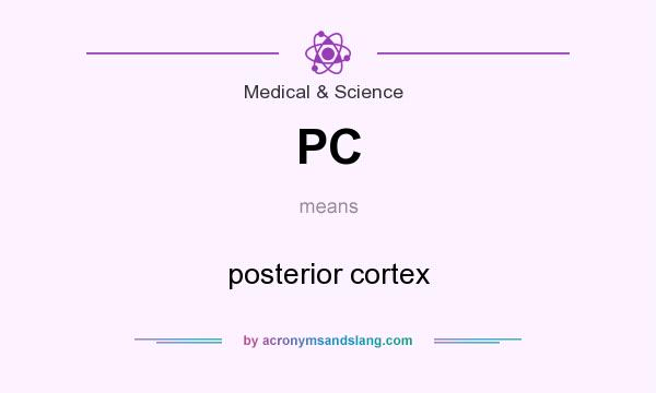 What does PC mean? It stands for posterior cortex