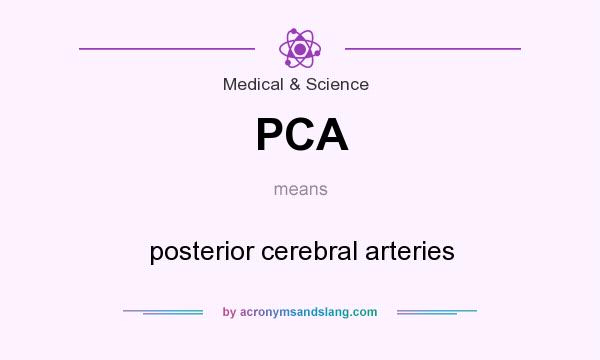 What does PCA mean? It stands for posterior cerebral arteries