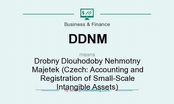 What does DDNM mean? It stands for Drobny Dlouhodoby Nehmotny Majetek (Czech: Accounting and Registration of Small-Scale Intangible Assets)