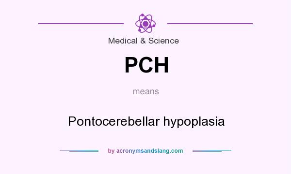 What does PCH mean? It stands for Pontocerebellar hypoplasia