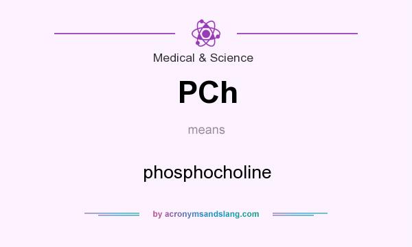 What does PCh mean? It stands for phosphocholine