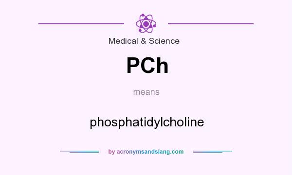 What does PCh mean? It stands for phosphatidylcholine