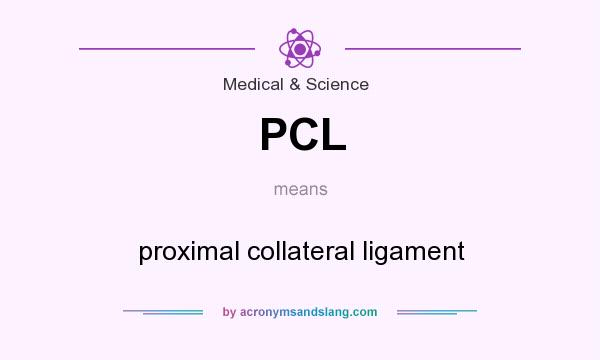 What does PCL mean? It stands for proximal collateral ligament