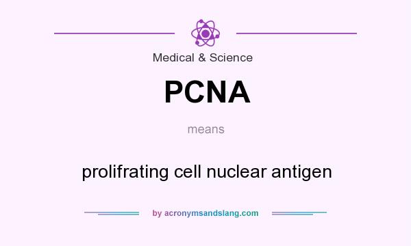 What does PCNA mean? It stands for prolifrating cell nuclear antigen