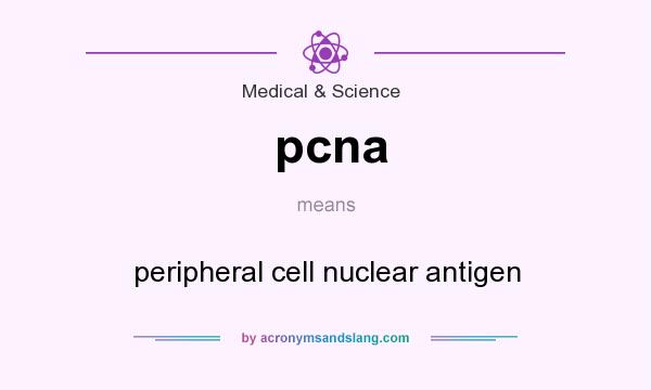 What does pcna mean? It stands for peripheral cell nuclear antigen
