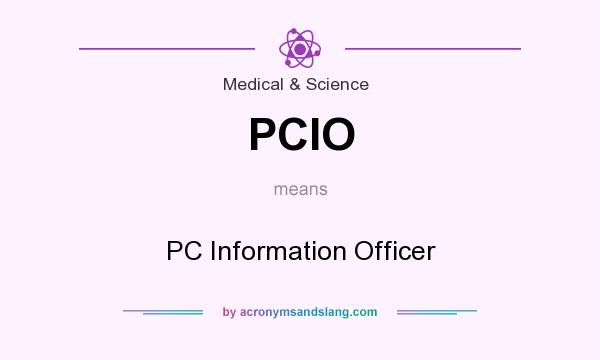 What does PCIO mean? It stands for PC Information Officer