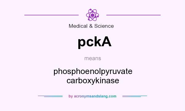 What does pckA mean? It stands for phosphoenolpyruvate carboxykinase