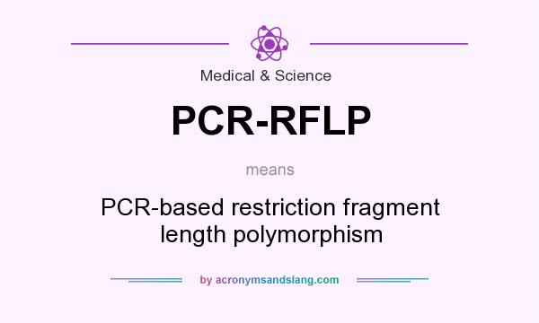 What does PCR-RFLP mean? It stands for PCR-based restriction fragment length polymorphism