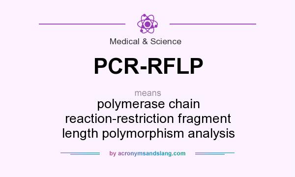 What does PCR-RFLP mean? It stands for polymerase chain reaction-restriction fragment length polymorphism analysis