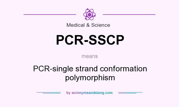 What does PCR-SSCP mean? It stands for PCR-single strand conformation polymorphism
