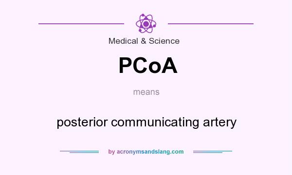 What does PCoA mean? It stands for posterior communicating artery