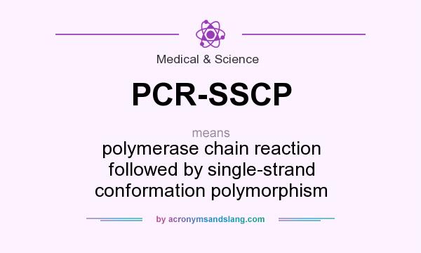 What does PCR-SSCP mean? It stands for polymerase chain reaction followed by single-strand conformation polymorphism