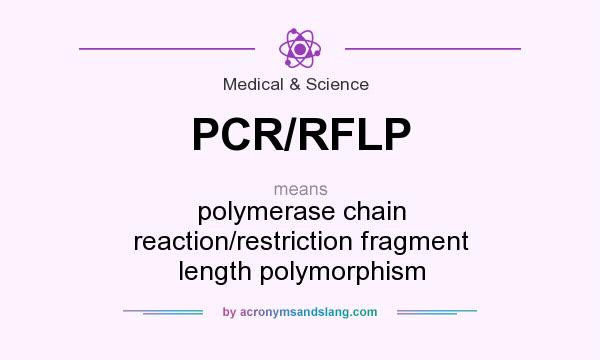 What does PCR/RFLP mean? It stands for polymerase chain reaction/restriction fragment length polymorphism