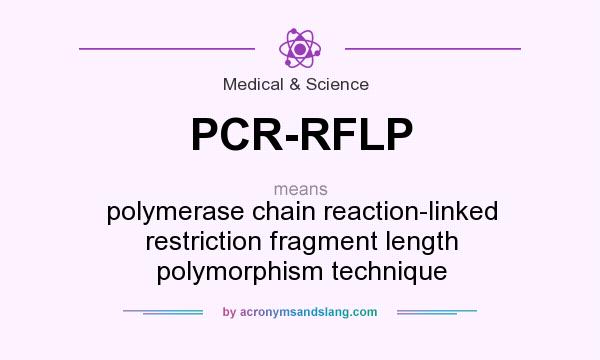 What does PCR-RFLP mean? It stands for polymerase chain reaction-linked restriction fragment length polymorphism technique