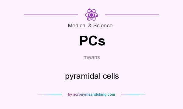 What does PCs mean? It stands for pyramidal cells