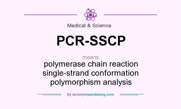 What does PCR-SSCP mean? It stands for polymerase chain reaction single-strand conformation polymorphism analysis