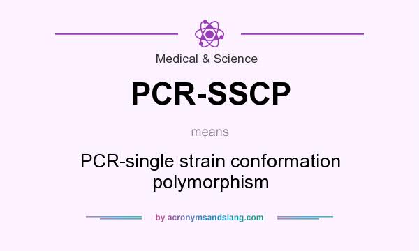 What does PCR-SSCP mean? It stands for PCR-single strain conformation polymorphism