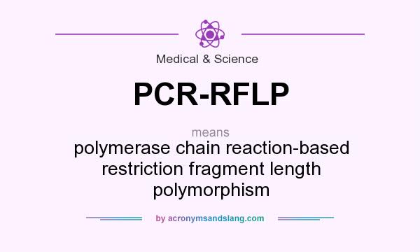 What does PCR-RFLP mean? It stands for polymerase chain reaction-based restriction fragment length polymorphism