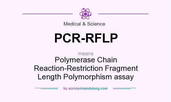 What does PCR-RFLP mean? It stands for Polymerase Chain Reaction-Restriction Fragment Length Polymorphism assay