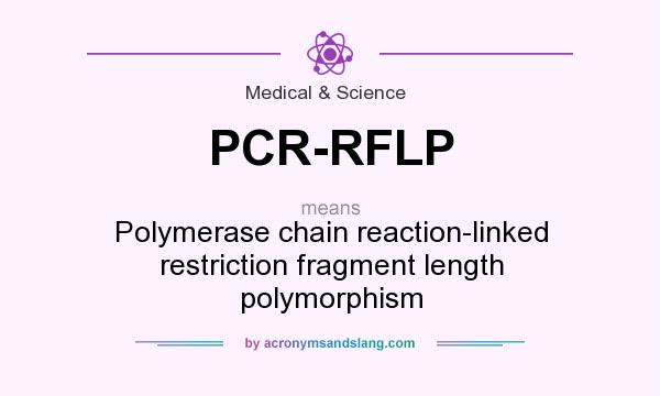 What does PCR-RFLP mean? It stands for Polymerase chain reaction-linked restriction fragment length polymorphism