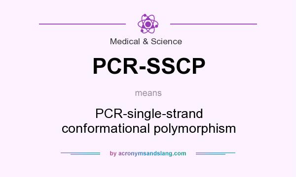 What does PCR-SSCP mean? It stands for PCR-single-strand conformational polymorphism