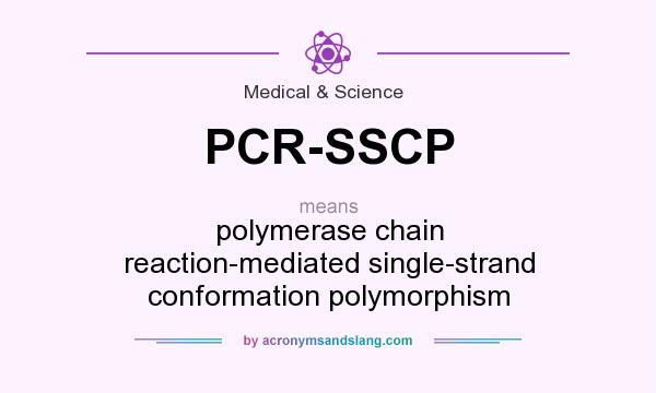 What does PCR-SSCP mean? It stands for polymerase chain reaction-mediated single-strand conformation polymorphism