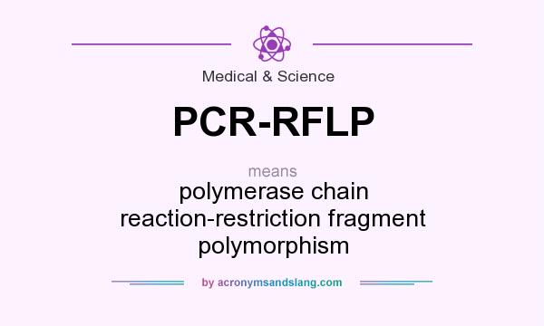 What does PCR-RFLP mean? It stands for polymerase chain reaction-restriction fragment polymorphism