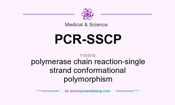 What does PCR-SSCP mean? It stands for polymerase chain reaction-single strand conformational polymorphism