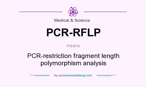 What does PCR-RFLP mean? It stands for PCR-restriction fragment length polymorphism analysis