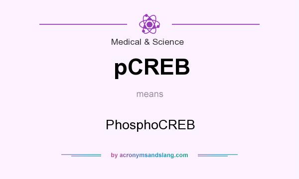 What does pCREB mean? It stands for PhosphoCREB