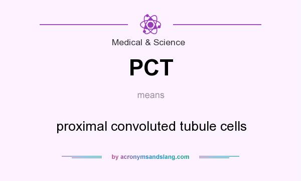 What does PCT mean? It stands for proximal convoluted tubule cells