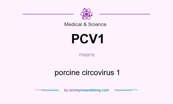 What does PCV1 mean? It stands for porcine circovirus 1