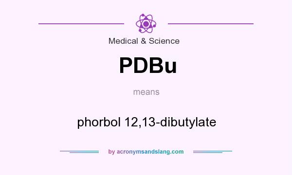 What does PDBu mean? It stands for phorbol 12,13-dibutylate