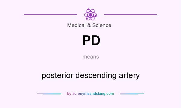 What does PD mean? It stands for posterior descending artery