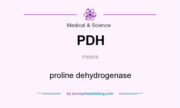 What does PDH mean? It stands for proline dehydrogenase