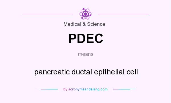What does PDEC mean? It stands for pancreatic ductal epithelial cell