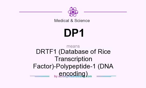What does DP1 mean? It stands for DRTF1 (Database of Rice Transcription Factor)-Polypeptide-1 (DNA encoding)