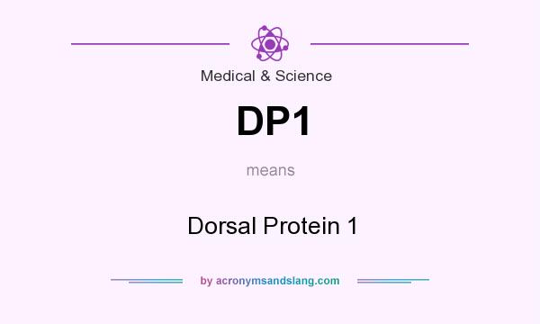 What does DP1 mean? It stands for Dorsal Protein 1