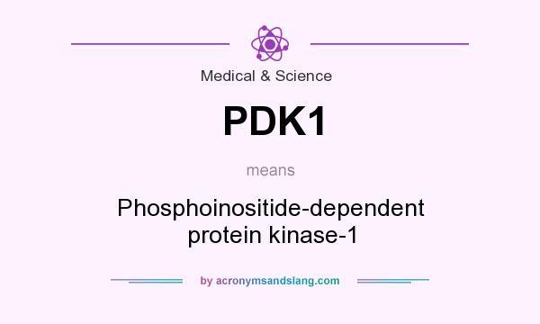 What does PDK1 mean? It stands for Phosphoinositide-dependent protein kinase-1