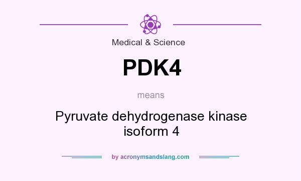 What does PDK4 mean? It stands for Pyruvate dehydrogenase kinase isoform 4