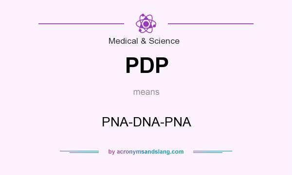 What does PDP mean? It stands for PNA-DNA-PNA