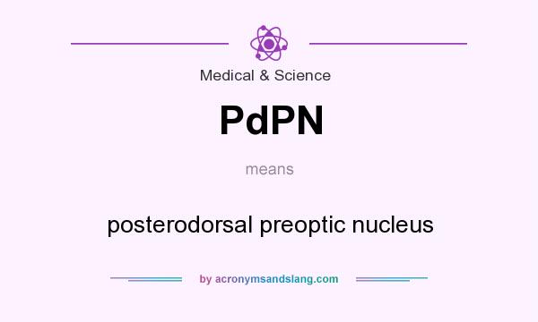 What does PdPN mean? It stands for posterodorsal preoptic nucleus
