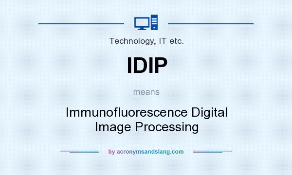 What does IDIP mean? It stands for Immunofluorescence Digital Image Processing