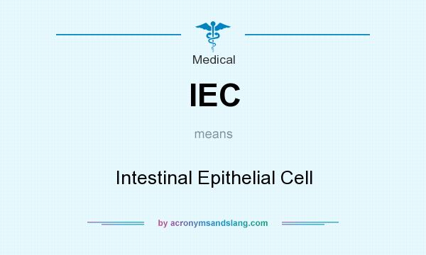 What does IEC mean? It stands for Intestinal Epithelial Cell
