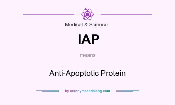 What does IAP mean? It stands for Anti-Apoptotic Protein