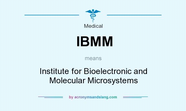 What does IBMM mean? It stands for Institute for Bioelectronic and Molecular Microsystems
